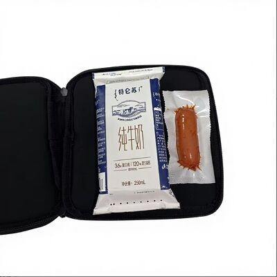 Saco de aquecimento de sanduíche portátil personalizado USB Elétrico 12v aquecedor de alimentos para automóvel uso doméstico e ao ar livre viagens ecológicas homens mulher