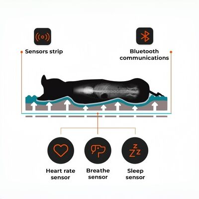 Smart Reptile Pet Bed Health Monitor Monitor Rate cardíaco Rate respiratório Rate de sono Pad Wi-Fi Control Outdoor & Car Use Pet Mat