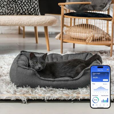 Smart Reptile Pet Bed Health Monitor Monitor Rate cardíaco Rate respiratório Rate de sono Pad Wi-Fi Control Outdoor & Car Use Pet Mat