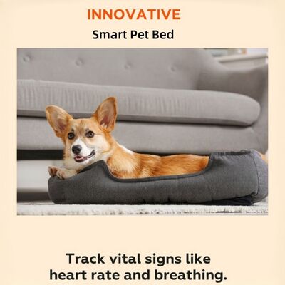 Smart Reptile Pet Bed Health Monitor Monitor Rate cardíaco Rate respiratório Rate de sono Pad Wi-Fi Control Outdoor & Car Use Pet Mat