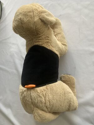 Cinto para animais de estimação