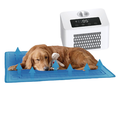 Smart pet bed practical energy saving cooling solution for pets to beat summer heat and enjoy cozy rest all season long