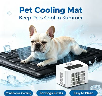Smart cama de animais de estimação de água resfriada tapete oferece efeito de resfriamento estável e duradouro reduz a temperatura corporal do animal de estimação e desconforto de calor