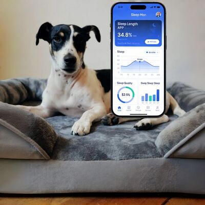 Cama Inteligente para Cães OEM com Monitoramento de Saúde, Acompanhamento de Sono/Coração/Respiração por APP para Filhotes e Cães Idosos Tranquilidade